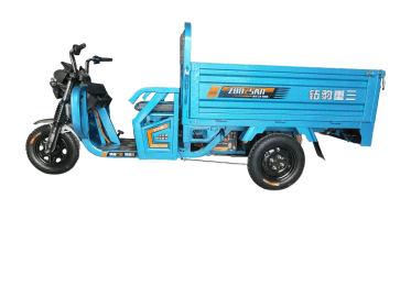 Pioneer second-generation electric three wheel 1.6m