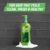 Pert 2-in-1 Complete Clean Shampoo and Conditioner For Clean Manageable Hair 33.8 fl oz