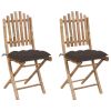 Folding Patio Chairs 2 pcs with Cushions Bamboo