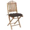 Folding Patio Chairs 2 pcs with Cushions Bamboo
